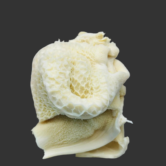 Raw beef and a piece of raw fish on a white tray