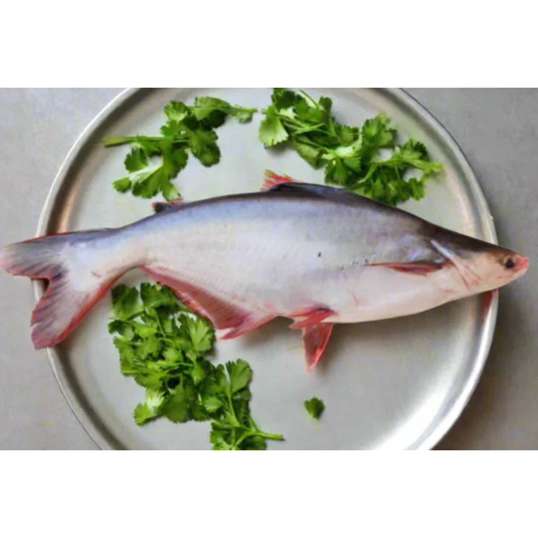 Raw fish on a metal plate with green herbs